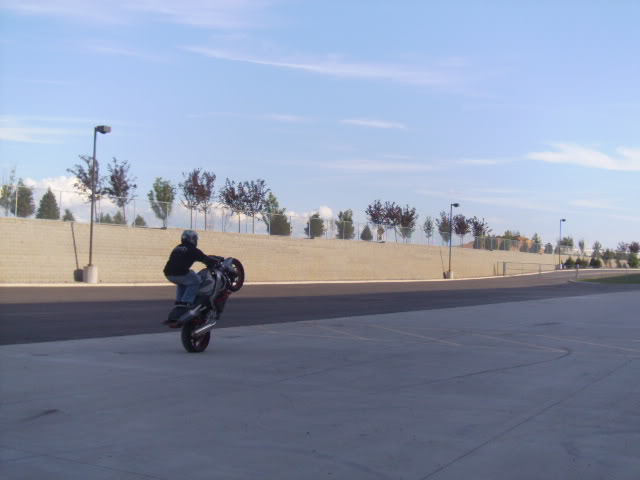 Name:  SANY1754.jpg
Views: 8
Size:  50.2 KB