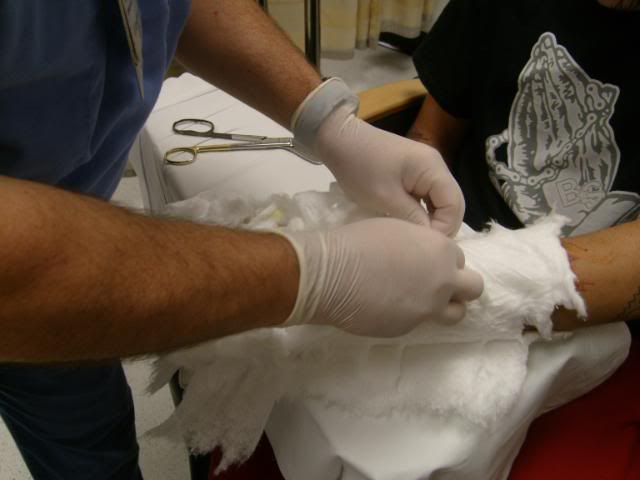 Name: S7300665.jpg
Views: 9
Size: 26.7 KB
