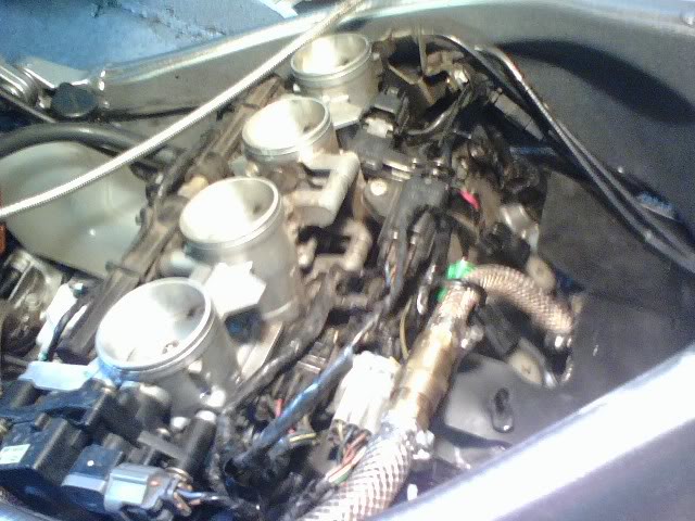 Name:  0806081908.jpg
Views: 492
Size:  68.9 KB