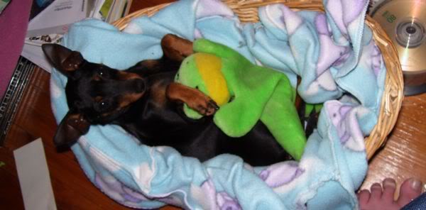 Name:  0c89171b.jpg
Views: 5
Size:  34.1 KB