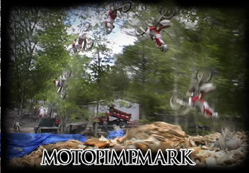 Name:  myspacefliperxxx.jpg
Views: 118
Size:  30.6 KB