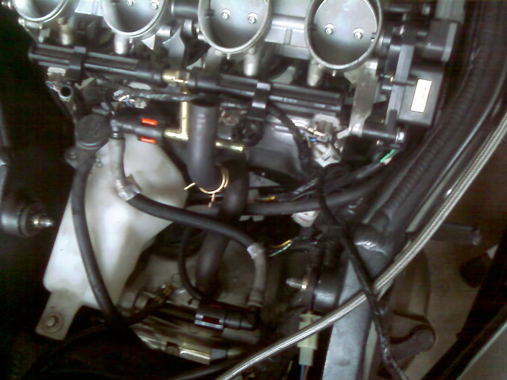 Name:  kleen3.jpg
Views: 299
Size:  100.2 KB