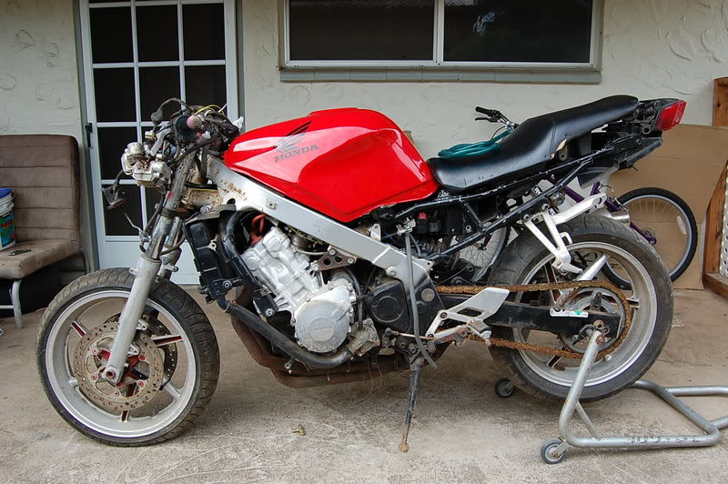 Name:  DSC_0386.jpg
Views: 15
Size:  140.1 KB