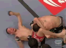 Name:  Diaz-2.gif
Views: 6
Size:  1.11 MB