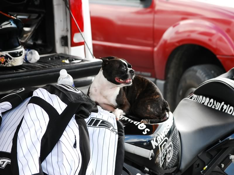 Name:  DSC_0013.jpg
Views: 100
Size:  83.4 KB