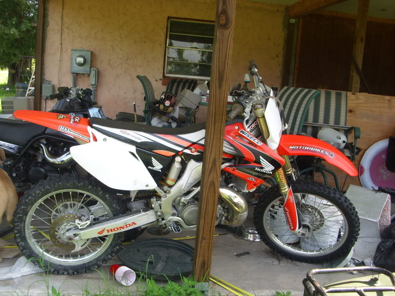 Name:  DSCI1289.jpg
Views: 217
Size:  104.1 KB