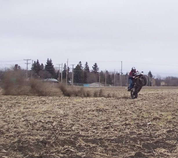 Name:  dirt_catwalk.jpg
Views: 56
Size:  55.6 KB