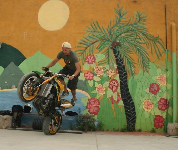 Name:  IMG_0962640x480.jpg
Views: 216
Size:  52.2 KB