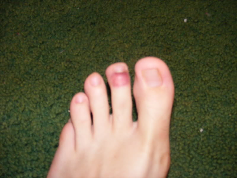 Name:  2008_0713johnspix0006.jpg
Views: 11
Size:  52.6 KB