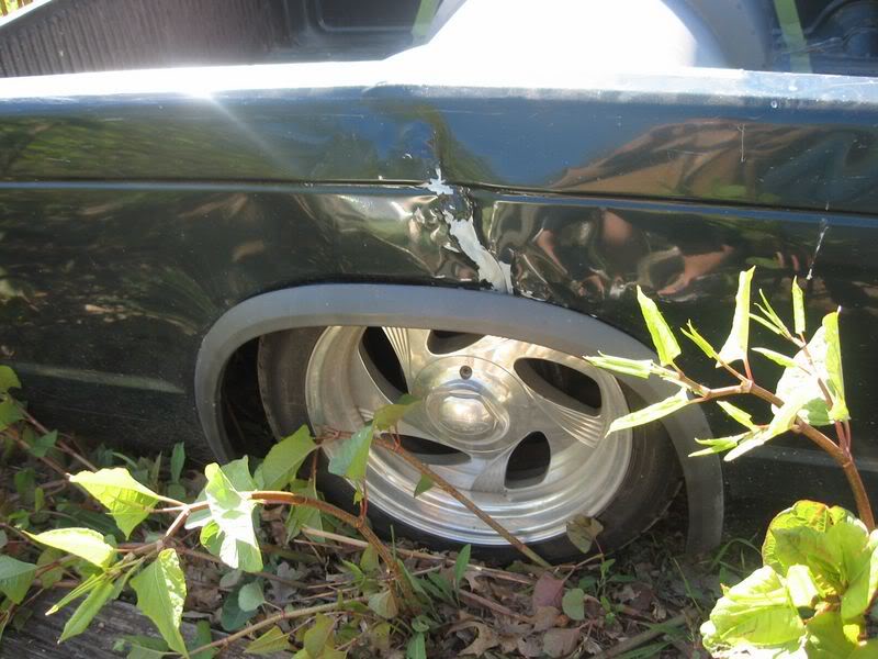 Name:  IMG_110550.jpg
Views: 91
Size:  81.1 KB