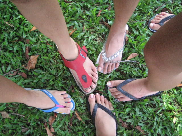 Name:  110605005.jpg
Views: 9
Size:  103.8 KB