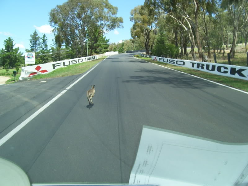 Name:  100_0167.jpg
Views: 7
Size:  88.8 KB