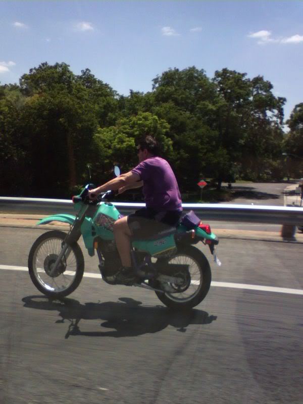 Name:  squids001.jpg
Views: 6
Size:  54.7 KB