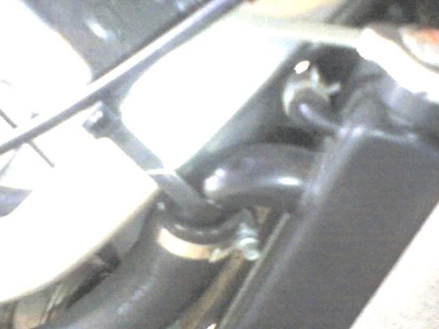 Name:  img184.jpg
Views: 5
Size:  29.1 KB