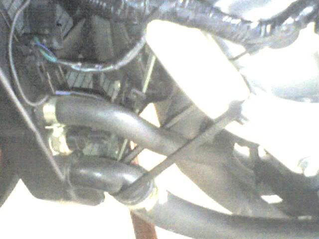 Name:  img186.jpg
Views: 4
Size:  39.0 KB