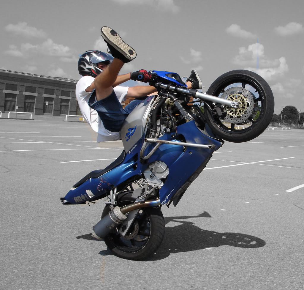 Name:  DSC03998copy.jpg
Views: 7
Size:  174.0 KB