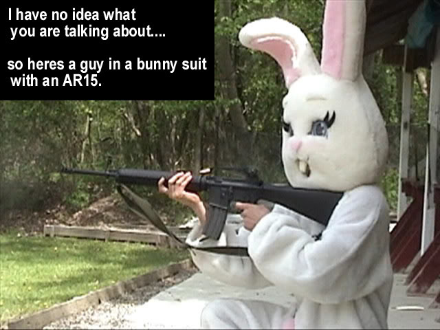 Name:  Bunnysuit.jpg
Views: 9
Size:  60.3 KB