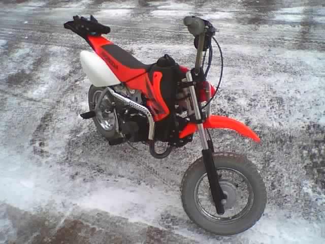 Name:  fiddywinter.jpg
Views: 12
Size:  50.3 KB