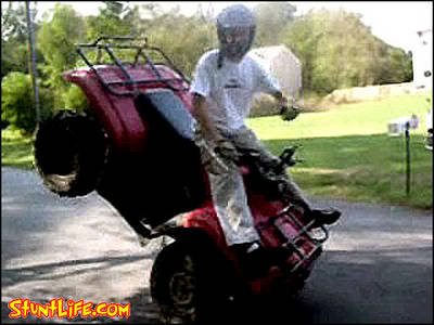 Name:  31458Endo.jpg
Views: 14
Size:  23.5 KB