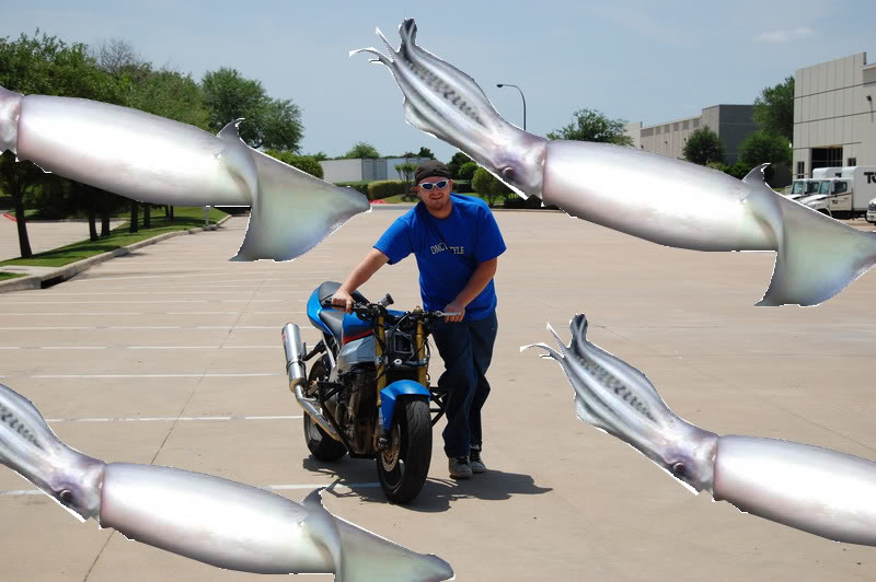 Name:  squidmigration.jpg
Views: 12
Size:  81.4 KB