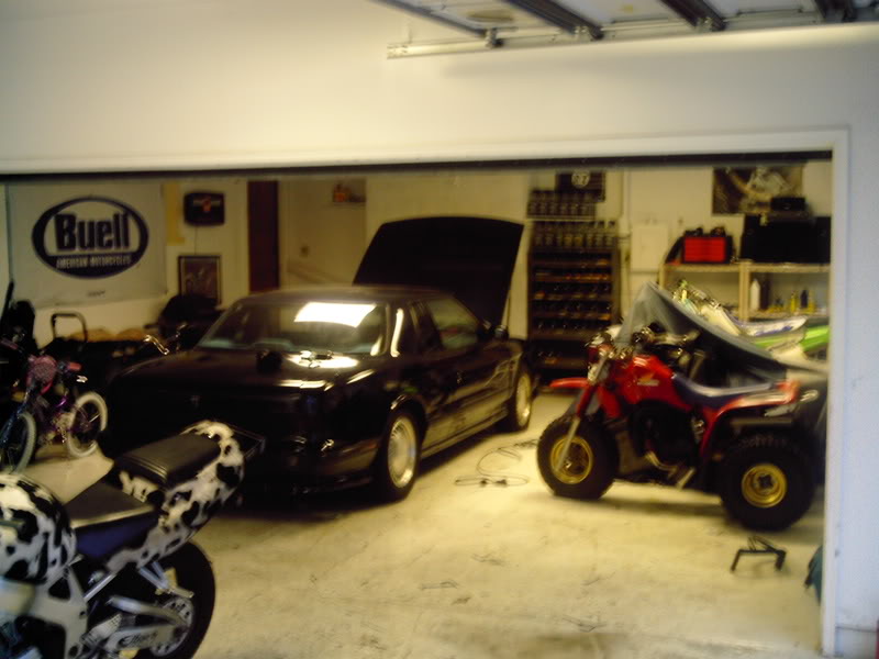 Name:  Picture053.jpg
Views: 6
Size:  63.4 KB