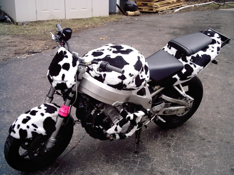 Name:  Picture047.jpg
Views: 8
Size:  133.2 KB