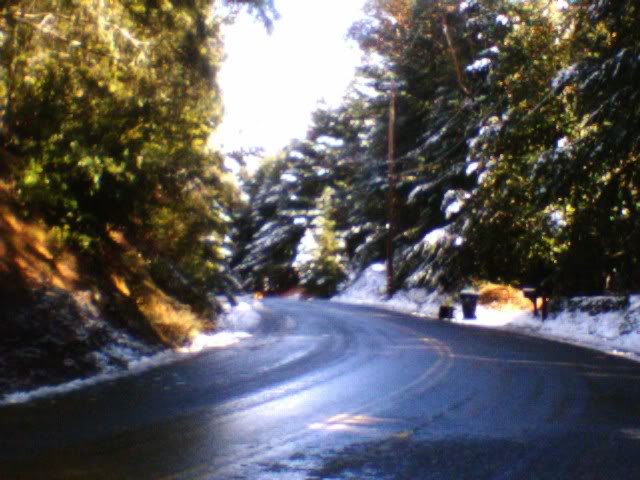 Name:  pic012808_2.jpg
Views: 5
Size:  57.0 KB