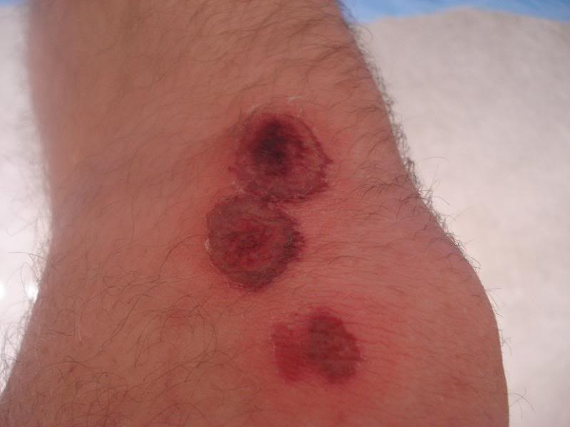 Name:  Picture047-2.jpg
Views: 7
Size:  31.6 KB