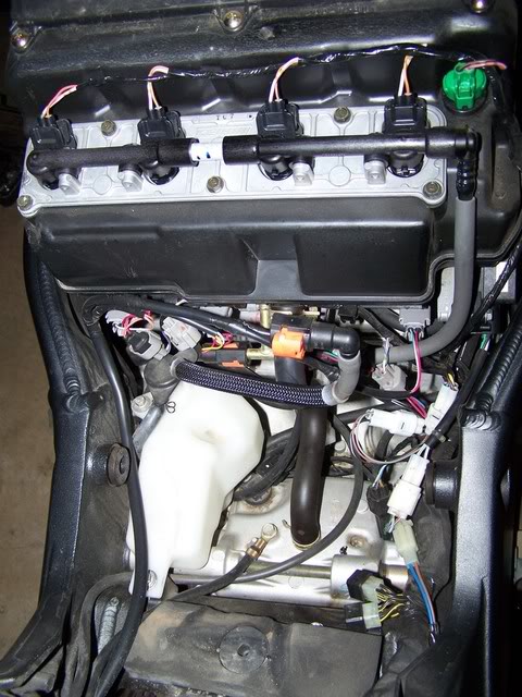 Name:  000_0009.jpg
Views: 7
Size:  87.5 KB