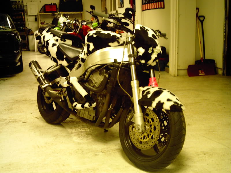 Name:  Picture035.jpg
Views: 13
Size:  90.3 KB