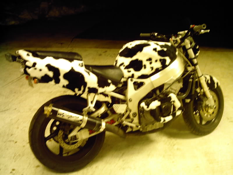 Name:  Picture034.jpg
Views: 12
Size:  70.0 KB