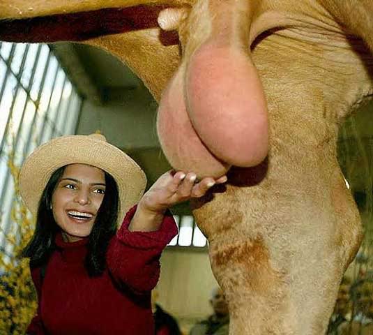 Name:  rocky_mountain_oysters.jpg
Views: 5
Size:  36.1 KB