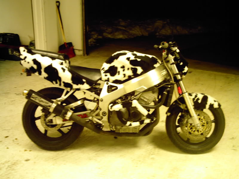 Name:  Picture038.jpg
Views: 101
Size:  74.5 KB