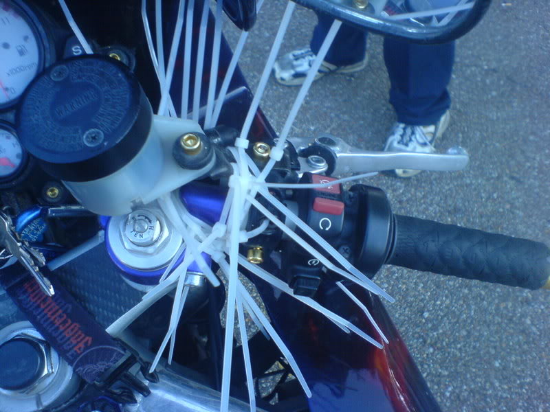 Name:  DSC00101.jpg
Views: 8
Size:  87.9 KB