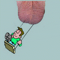 Name:  nutswing1cg9.gif
Views: 35
Size:  56.9 KB