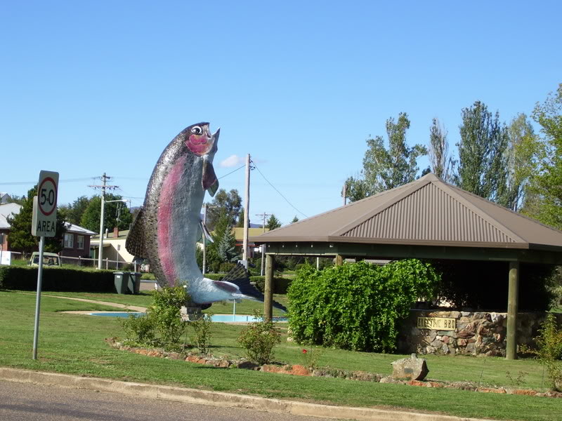 Name:  100_0228.jpg
Views: 35
Size:  113.7 KB