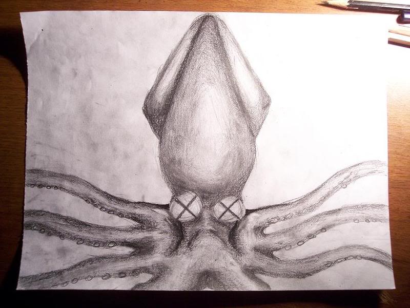 Name:  Squid008.jpg
Views: 7
Size:  72.9 KB