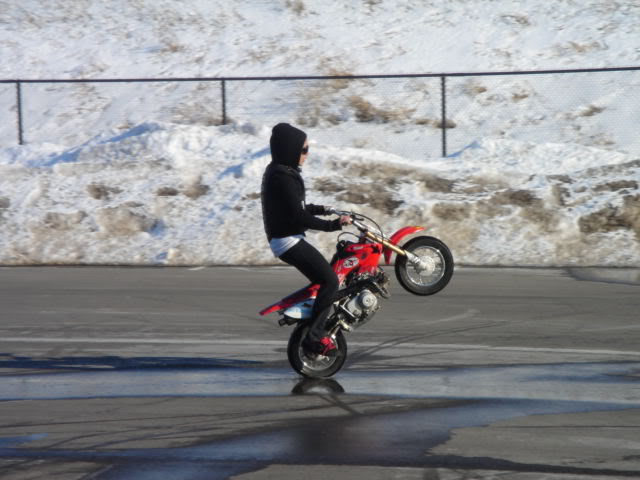 Name:  pegs-1.jpg
Views: 8
Size:  50.0 KB