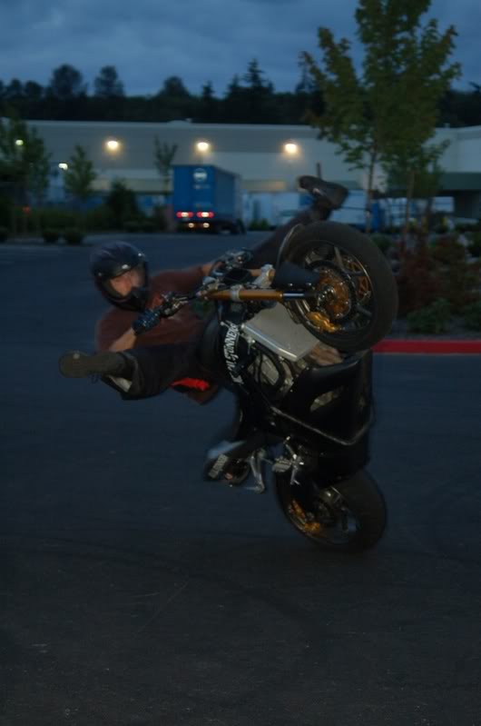 Name:  DSC_0080.jpg
Views: 45
Size:  58.5 KB