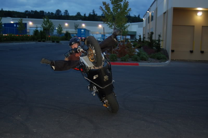 Name:  DSC_0078.jpg
Views: 12
Size:  73.9 KB