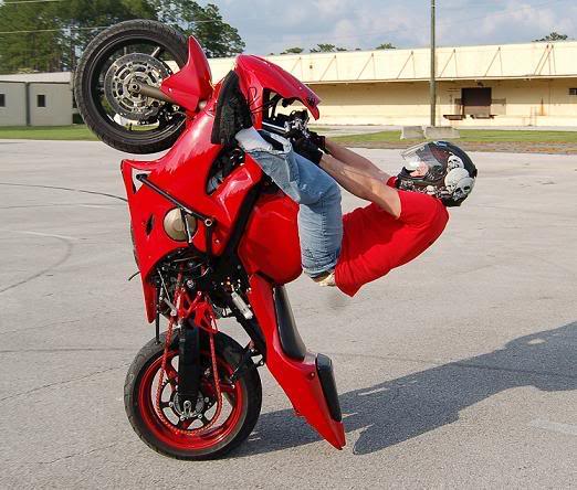 Name:  l_ffc4fb07870005cd889e061ce8144b9f.jpg
Views: 10
Size:  50.7 KB