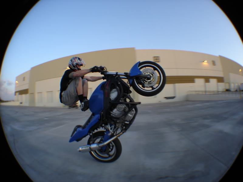 Name:  frog.jpg
Views: 21
Size:  42.1 KB