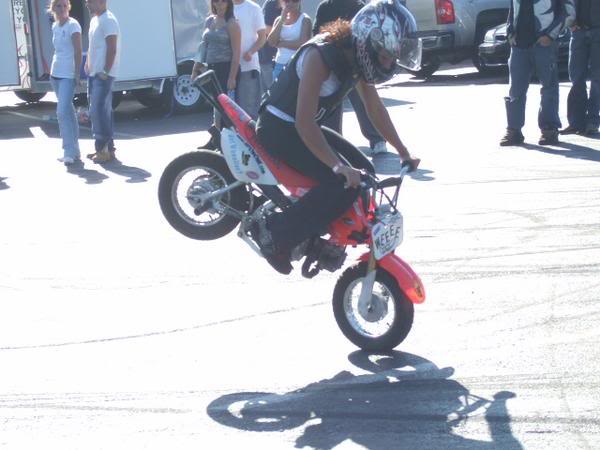 Name:  endo1.jpg
Views: 33
Size:  36.3 KB