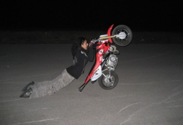 Name:  bigone.jpg
Views: 27
Size:  27.4 KB