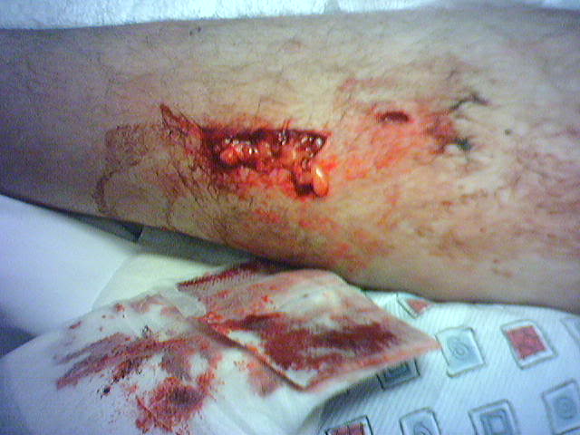 Name:  Photo135.jpg
Views: 17
Size:  43.0 KB