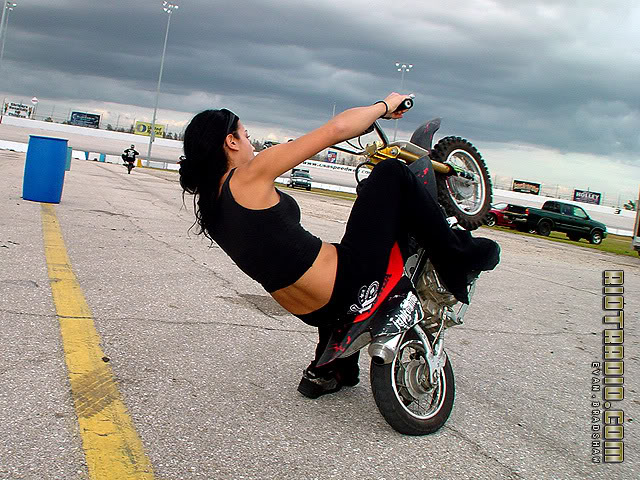 Name: stuntwars.jpg
Views: 232
Size: 110.0 KB