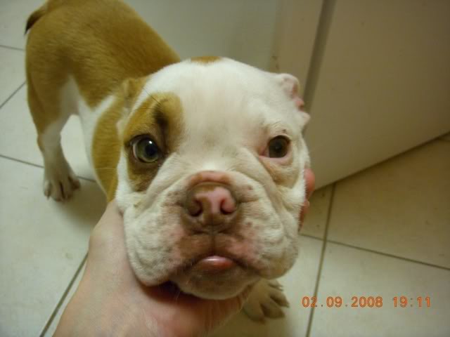 Name: DSCN0400.jpg
Views: 8
Size: 27.9 KB