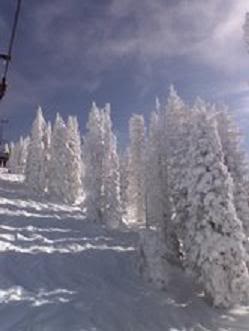 Name:  steamboat2.jpg
Views: 7
Size:  10.6 KB