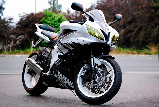 Name:  bikenight070.jpg
Views: 12
Size:  89.7 KB