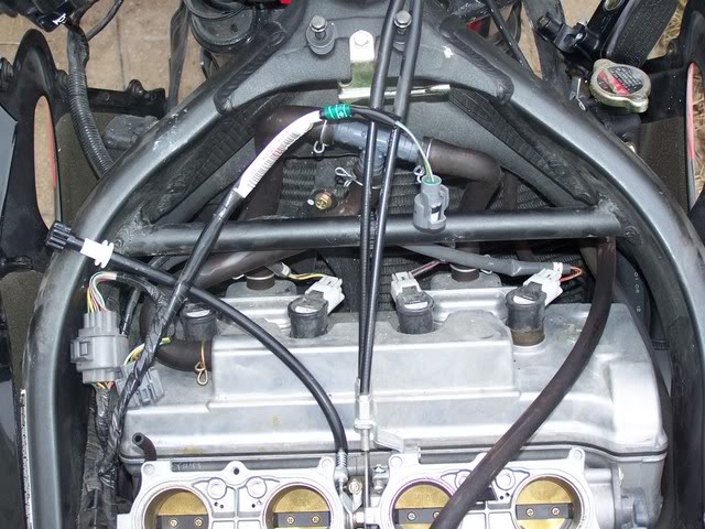 Name:  100_0585.jpg
Views: 5
Size:  88.1 KB